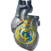 Real_mig